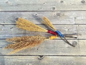 平城宮跡のオギでホウキをつくってみよう！