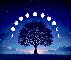 座学 日本の季節とヨーガ哲学