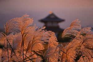 企画展　Instagramフォトコン受賞作品展