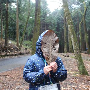 もりっこ2デイズ2