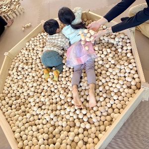 積木と木のたまプールで遊ぼう！