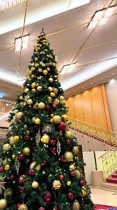 ホテルにサンタがやってくる！