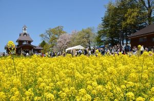 第43回いいやま菜の花まつり