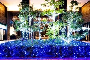 イルミネーションアイランドお台場2025　the SOHO