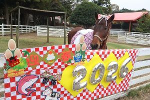 2026年午年撮影会