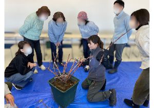 バラの剪定講習会