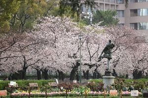 鶴舞公園　桜まつり2026