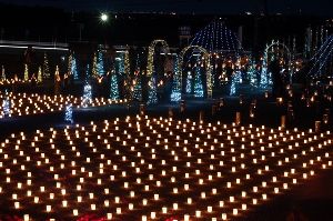 灯の回廊「高士ルミネ」