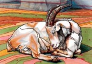 ちゃっきー個展 カクカクした世界