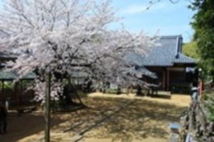 西区まるごと博物館「西区の宝」パネル展