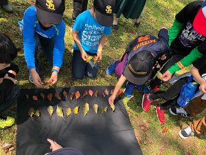 野外で算数と科学