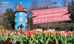 ムーミンバレーパークのアイスチューリップとさくら色花火・ライトアップ