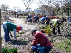 宿根草とハーブのガーデニング講習会（3月）