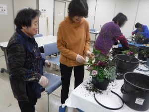 山野草の寄せ植え教室（12月）