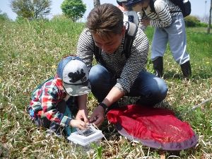 昆虫調査隊！春1