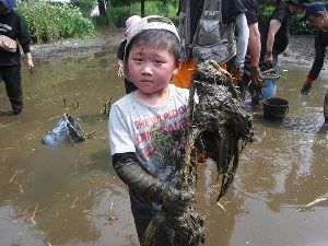 野鳥の池を再生しよう！
