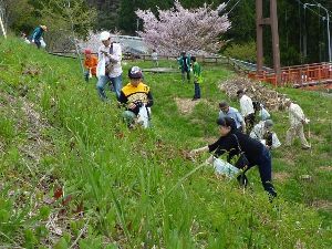 春の山菜を天ぷらや草もちにして食べよう
