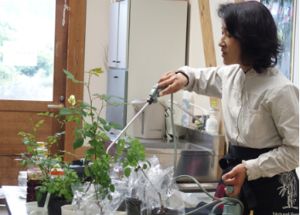 バラ教室（応用編）