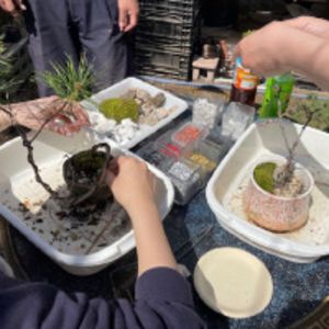 「庭能花園」～桜の盆栽ワークショップ～