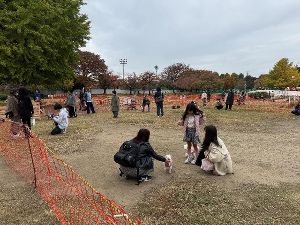 芝生広場でわんコインドッグラン　ゆるっとまるっとパーク大作戦～