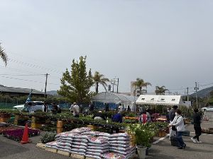 第61回春のにちなん植木市