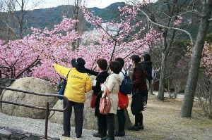 淡路島国営明石海峡公園　早春のガイドツアー