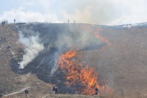塩塚高原山焼き