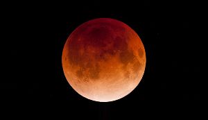 皆既月食観察会