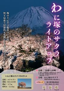 わに塚のサクラライトアップ2026