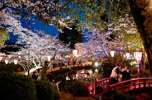 打吹公園ぼんぼり点灯　ライトアップ