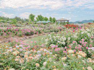 ローズ＆フラワーガーデン