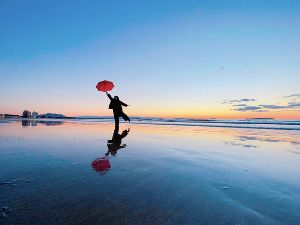 「かがみの海」と「ふくつの鯛茶づけ」展
