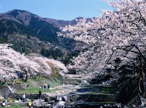 養老公園花とみどりのまつり2026