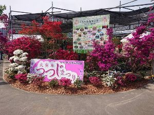 第69回久留米つつじ祭り