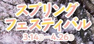 スプリングフェスティバル