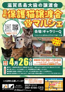 百町保護猫譲渡会＆マルシェ