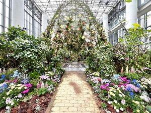 スプリングフェスティバル　春色に、心ときめく空中散歩