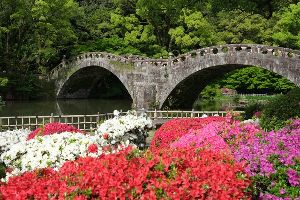 諫早つつじ祭り