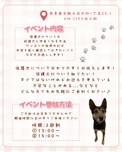 保護犬セミナー(生駒譲渡センター)