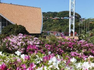 【花・見ごろ】愛知こどもの国のツツジ・サツキ