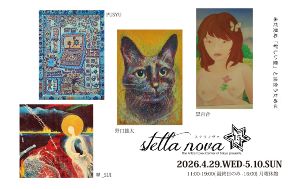 stella nova 15