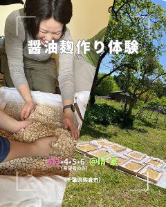 醤油麹づくり体験