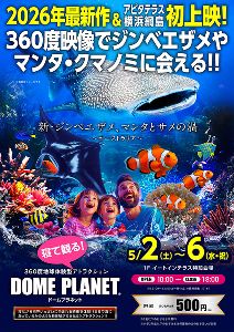 アピタテラス横浜綱島　ドームプラネット「新ジンベエザメ・マンタとサメの渦」