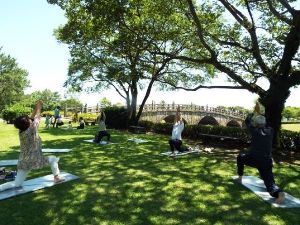 ヨガ＆ストレッチ教室　健康づくりイベント（5月）