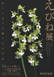 第20回えびね展