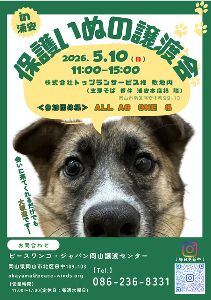 保護いぬの譲渡会in浦安