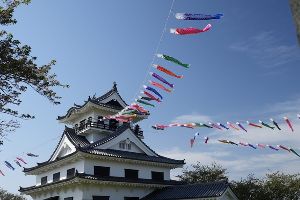 こいのぼり＠城山公園