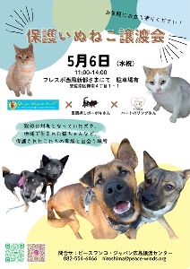 保護いぬねこ譲渡会
