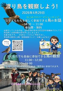 渡り鳥を観察しよう！