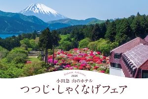 つつじ・しゃくなげフェア2026
